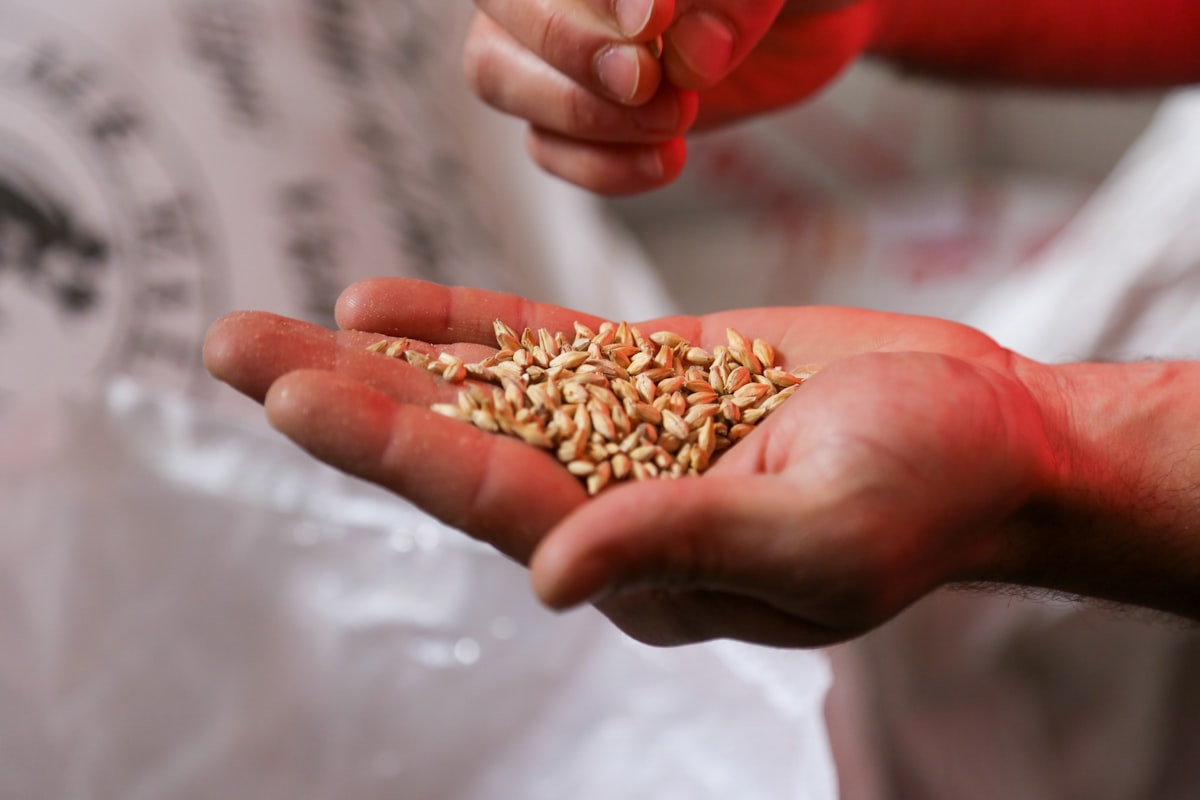 Alimenti funzionali e integratori di fibre
